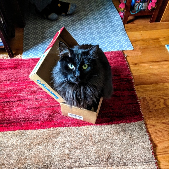 Meet your Posher, Kelly - Picture 3 of 7